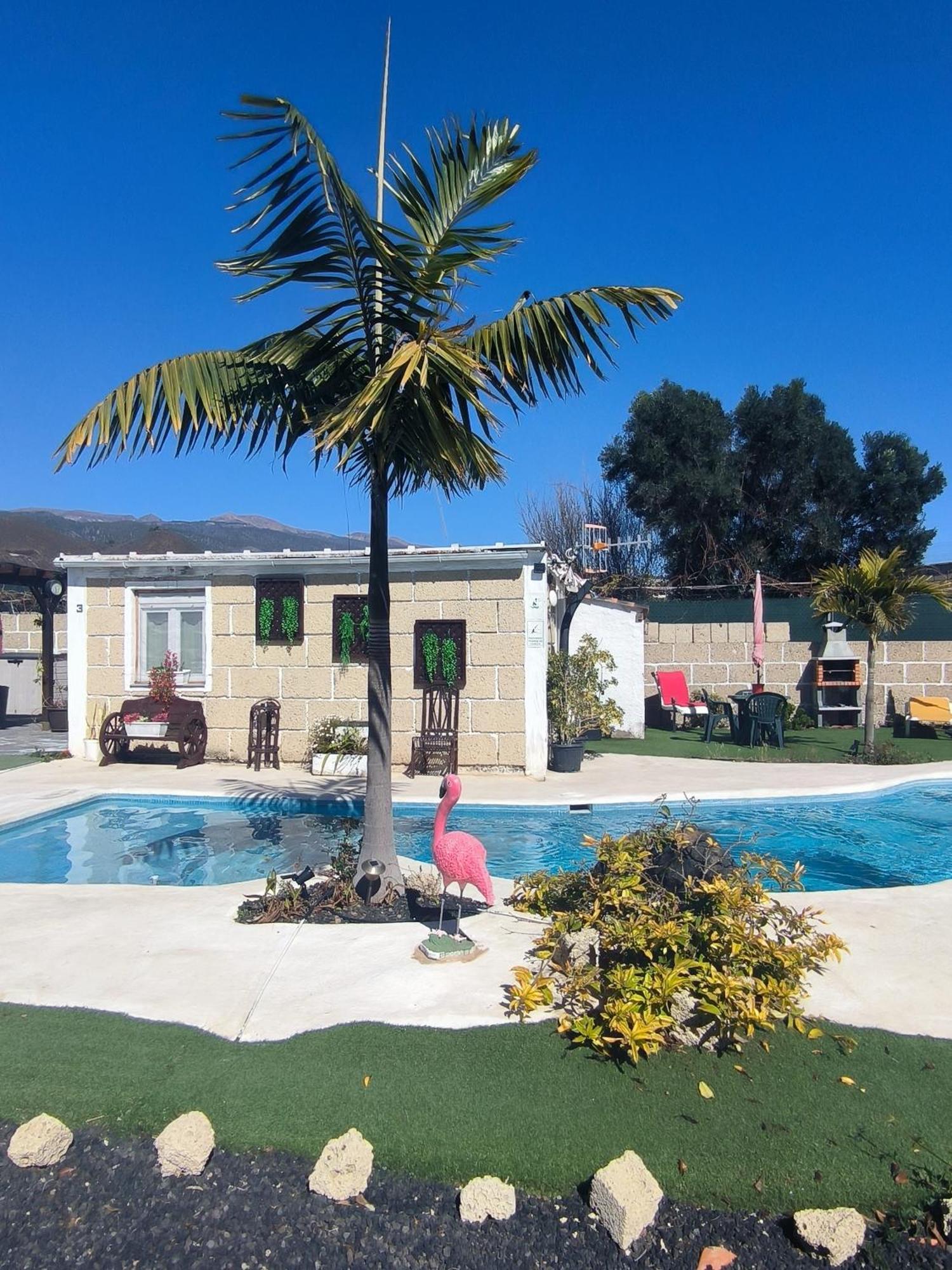 Villa Daita 2 Villa Daita 3 Granadilla De Abona Eksteriør bilde